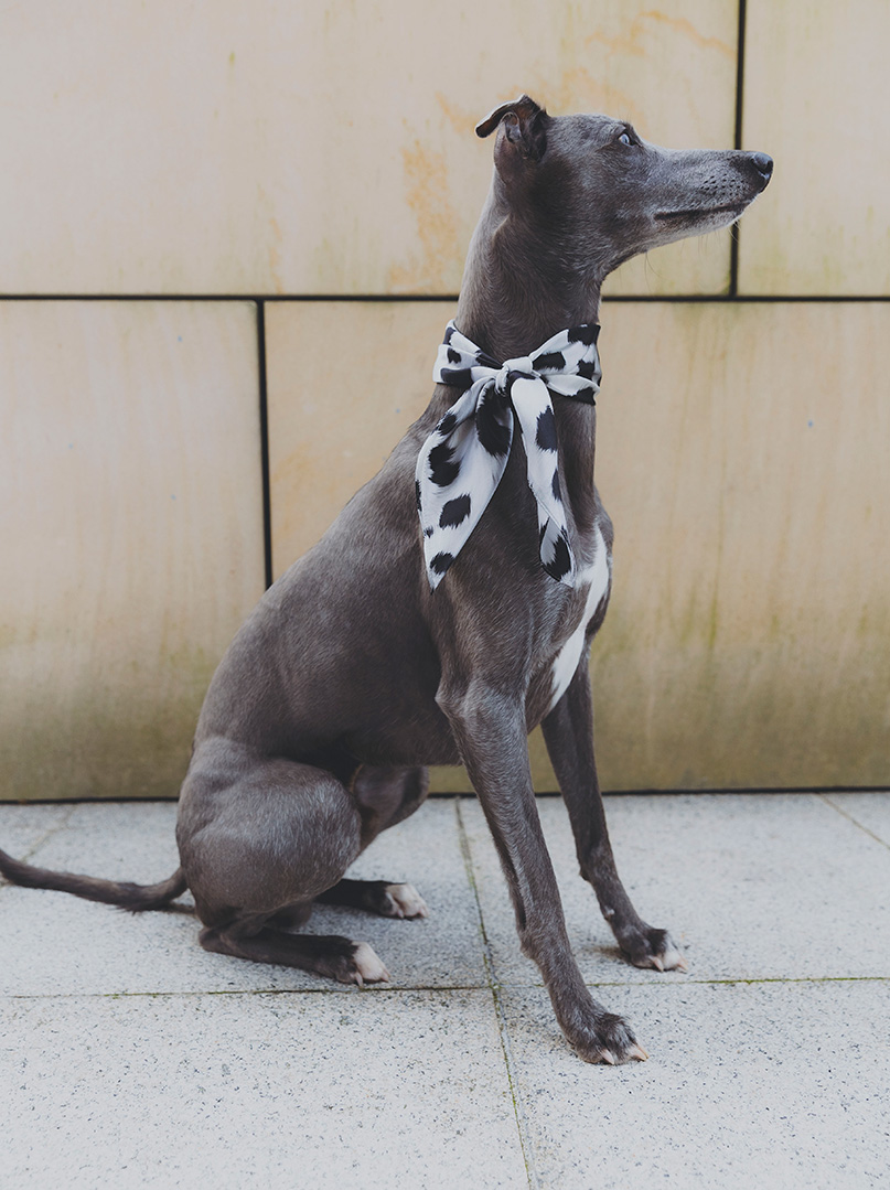 Mała apaszka jedwabna LUNA NERA 53x53 cm PREMIUM zdjęcie 1